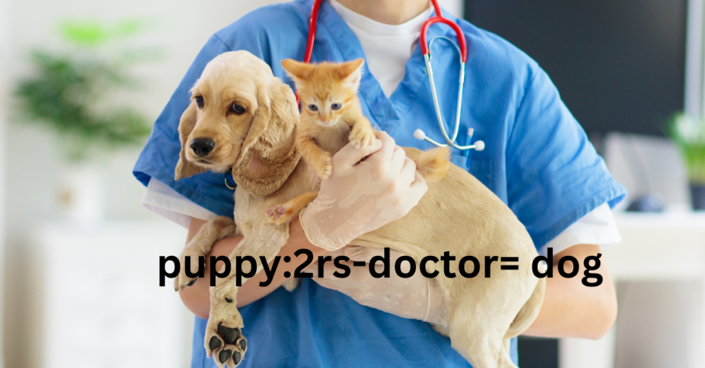 How a Puppy:2rs-Doctor= Dog Can Help Prevent Common Puppy Health Issues